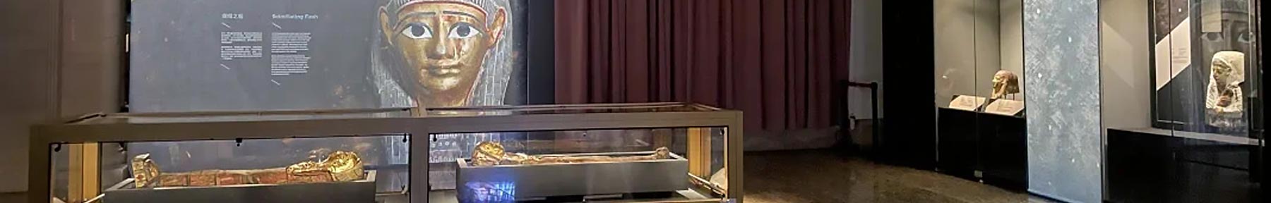 Full-process Museum Service Provider